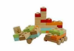 Discoveroo 17 Piece Chunky Wood Block Set