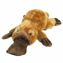 CA Australia Puddles The Platypus Plush - 63 Cm