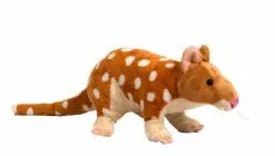 CA Australia Quoll Soft Plush Toy 39cm