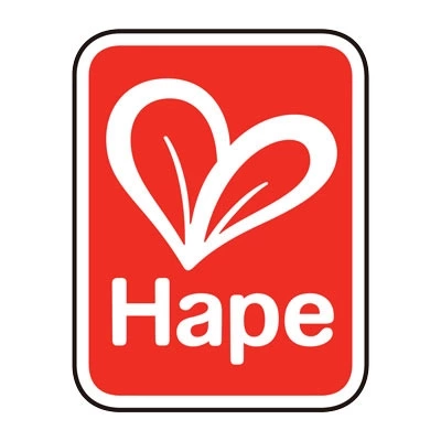 Hape ABC Magnetic Letters - Image 3